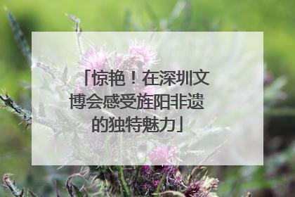 惊艳！在深圳文博会感受旌阳非遗的独特魅力