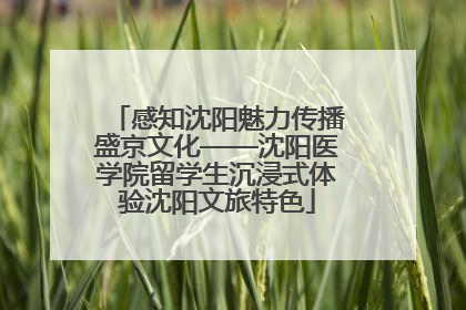 感知沈阳魅力传播盛京文化——沈阳医学院留学生沉浸式体验沈阳文旅特色