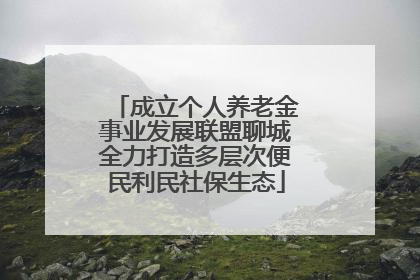 成立个人养老金事业发展联盟聊城全力打造多层次便民利民社保生态