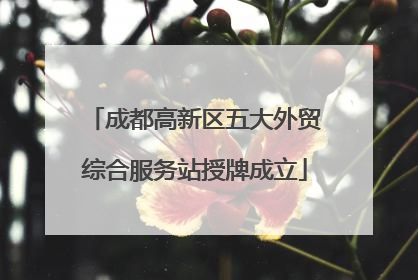 成都高新区五大外贸综合服务站授牌成立