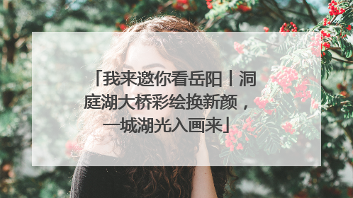 我来邀你看岳阳丨洞庭湖大桥彩绘换新颜，一城湖光入画来