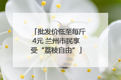 批发价低至每斤4元 兰州市民享受“荔枝自由”