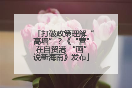 打破政策理解“高墙”？《“营”在自贸港 “画”说新海南》发布