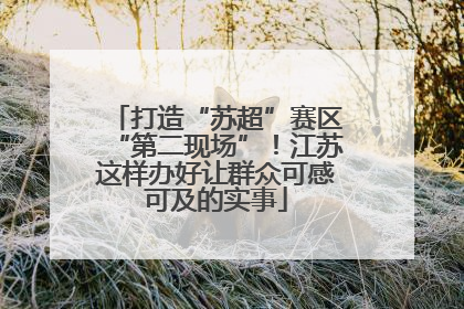 打造“苏超”赛区“第二现场”！江苏这样办好让群众可感可及的实事