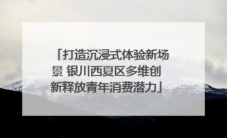 打造沉浸式体验新场景 银川西夏区多维创新释放青年消费潜力