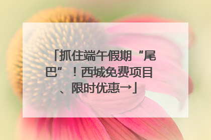 抓住端午假期“尾巴”！西城免费项目、限时优惠→