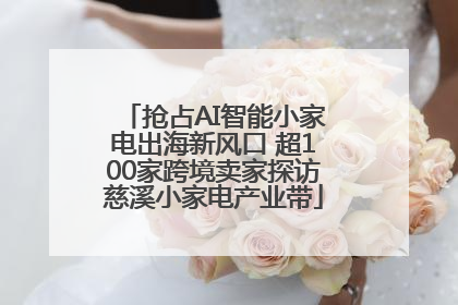 抢占AI智能小家电出海新风口 超100家跨境卖家探访慈溪小家电产业带