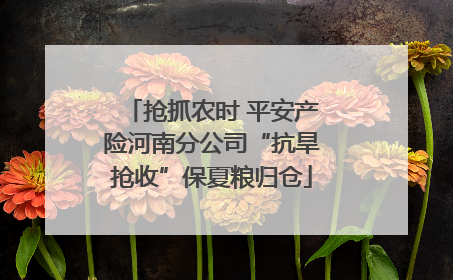 抢抓农时 平安产险河南分公司“抗旱抢收”保夏粮归仓