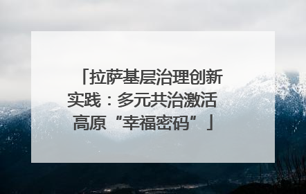 拉萨基层治理创新实践：多元共治激活高原“幸福密码”