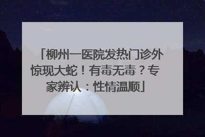 柳州一医院发热门诊外惊现大蛇！有毒无毒？专家辨认：性情温顺
