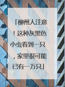 柳州人注意！这种灰黑色小虫看到一只，家里很可能已有一万只