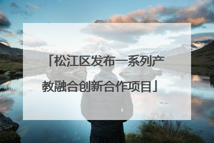 松江区发布一系列产教融合创新合作项目