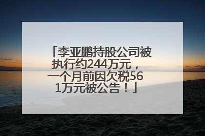 李亚鹏持股公司被执行约244万元，一个月前因欠税561万元被公告！