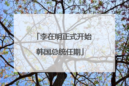 李在明正式开始韩国总统任期