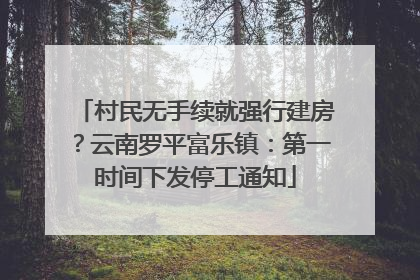 村民无手续就强行建房？云南罗平富乐镇：第一时间下发停工通知