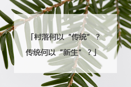 村落何以“传统”？传统何以“新生”？