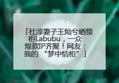 杜淳妻子王灿兮晒整柜Labubu，一众爆款IP齐聚！网友：我的 “梦中情柜”