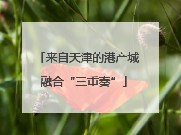 来自天津的港产城融合“三重奏”