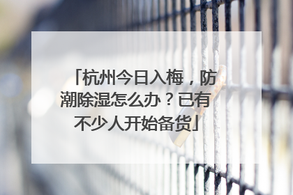 杭州今日入梅，防潮除湿怎么办？已有不少人开始备货