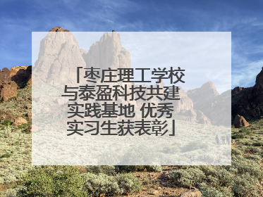 枣庄理工学校与泰盈科技共建实践基地 优秀实习生获表彰