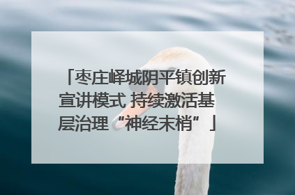 枣庄峄城阴平镇创新宣讲模式 持续激活基层治理“神经末梢”