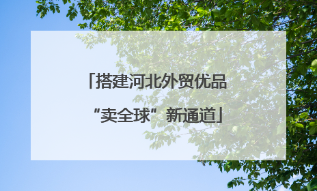 搭建河北外贸优品“卖全球”新通道