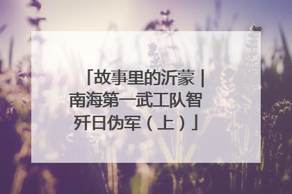 故事里的沂蒙｜南海第一武工队智歼日伪军（上）