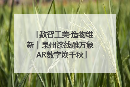 数智工美·造物维新｜泉州漆线雕万象 AR数字焕千秋