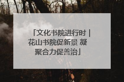 文化书院进行时｜花山书院促新景 凝聚合力促善治