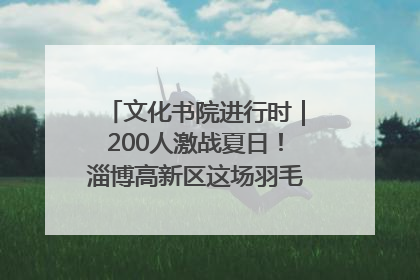 文化书院进行时｜200人激战夏日！淄博高新区这场羽毛球比赛太酷
