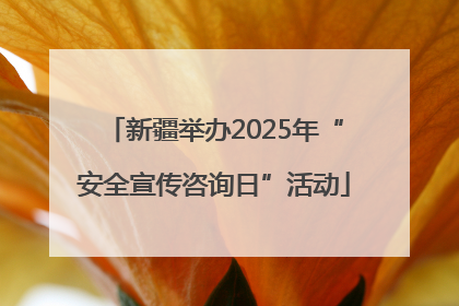 新疆举办2025年“安全宣传咨询日”活动