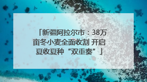 新疆阿拉尔市：38万亩冬小麦全面收割 开启夏收夏种“双重奏”