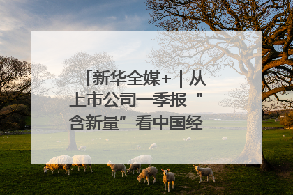 新华全媒+｜从上市公司一季报“含新量”看中国经济发展向“新”