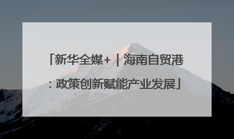 新华全媒+｜海南自贸港：政策创新赋能产业发展