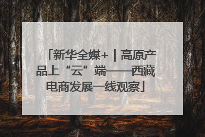新华全媒+｜高原产品上“云”端——西藏电商发展一线观察