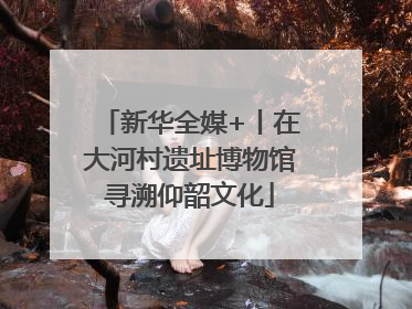 新华全媒+丨在大河村遗址博物馆寻溯仰韶文化