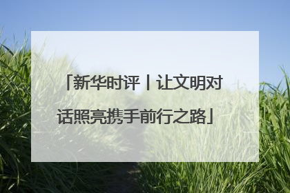 新华时评丨让文明对话照亮携手前行之路