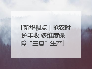 新华视点｜抢农时 护丰收 多维度保障“三夏”生产