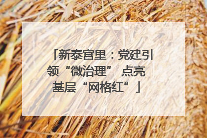 新泰宫里：党建引领“微治理” 点亮基层“网格红”
