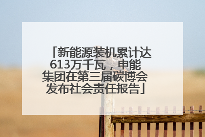 新能源装机累计达613万千瓦，申能集团在第三届碳博会发布社会责任报告