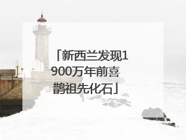 新西兰发现1900万年前喜鹊祖先化石