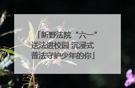 新野法院“六一”送法进校园 沉浸式普法守护少年的你