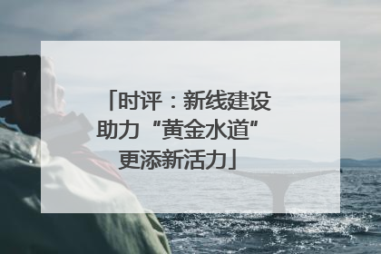 时评：新线建设助力“黄金水道”更添新活力