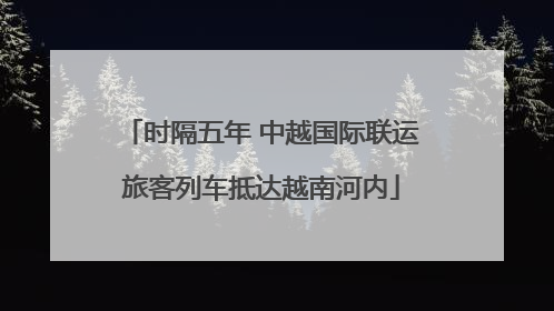 时隔五年 中越国际联运旅客列车抵达越南河内