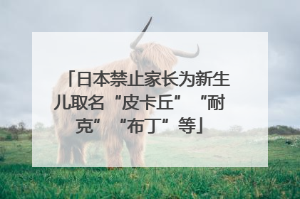 日本禁止家长为新生儿取名“皮卡丘”“耐克”“布丁”等