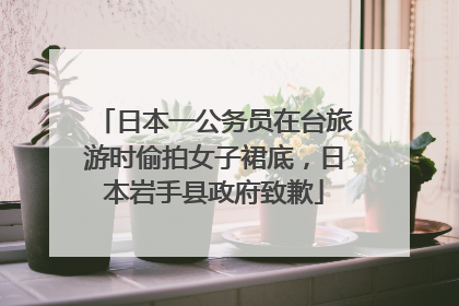 日本一公务员在台旅游时偷拍女子裙底，日本岩手县政府致歉