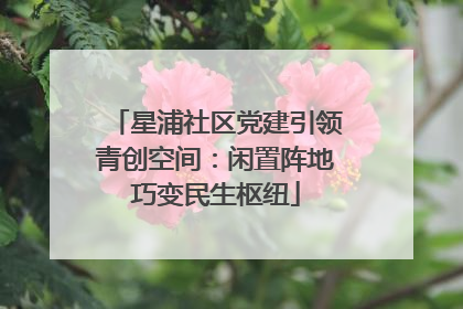 星浦社区党建引领青创空间：闲置阵地巧变民生枢纽