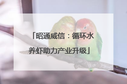 昭通威信：循环水养虾助力产业升级