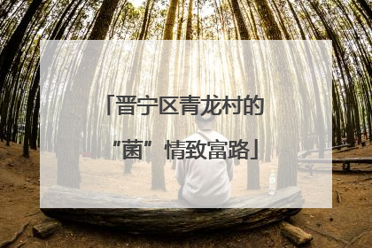 晋宁区青龙村的“菌”情致富路