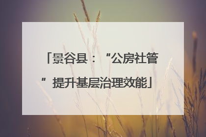 景谷县：“公房社管”提升基层治理效能